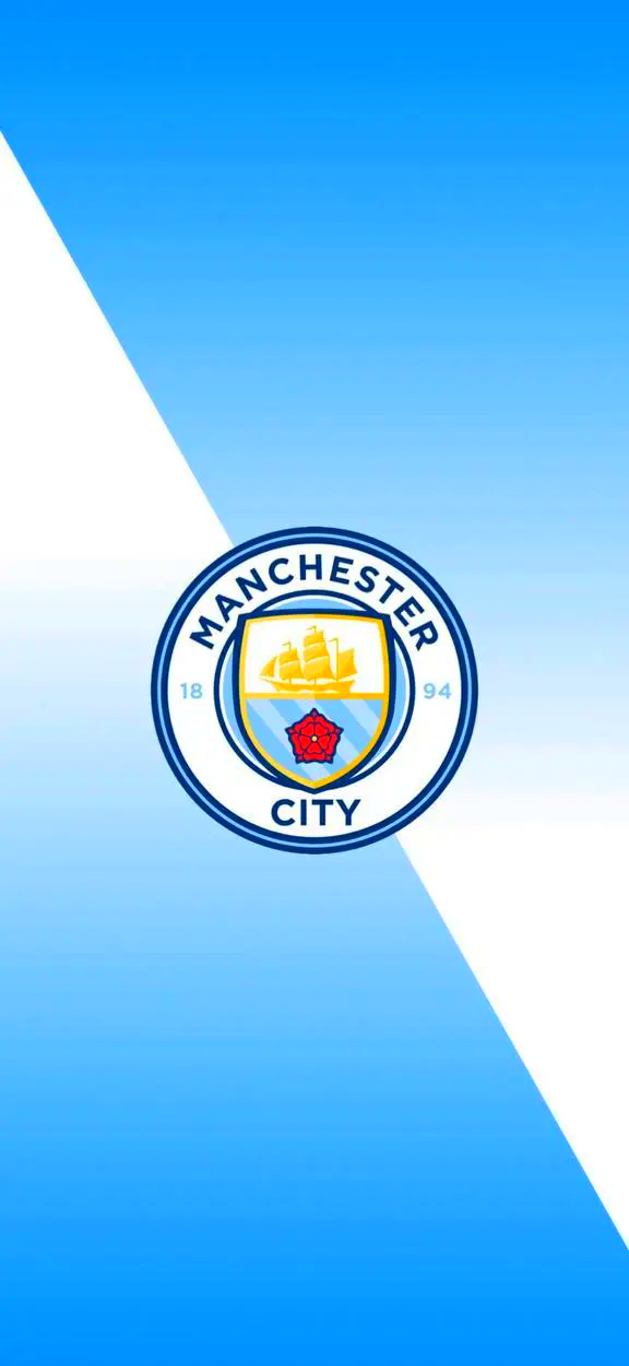 最后时刻被爱尔兰绝杀，匈牙利连续10届无缘世界杯